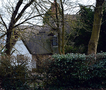 Crows' Nest through branches February 2013